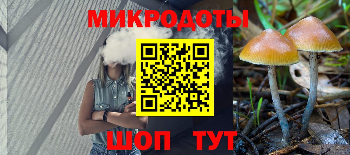 Псилоцибиновые грибы Cubensis Мытищи